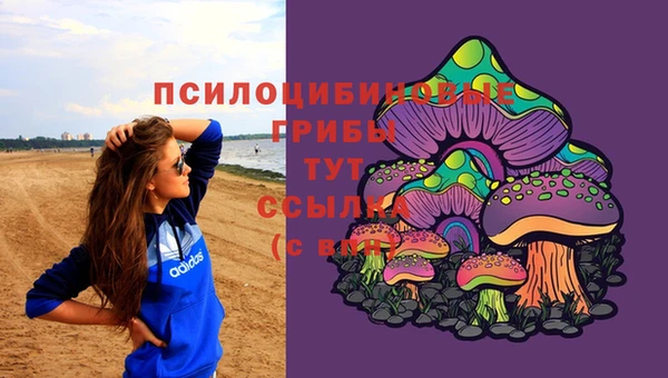 круглые Зеленокумск