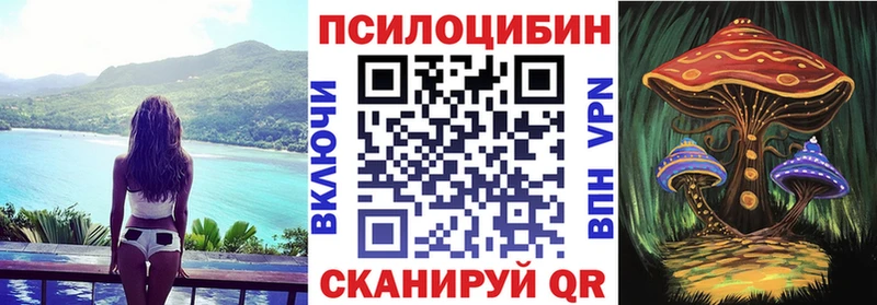 Купить закладки  Шлиссельбург  Галлюциногенные грибы GOLDEN TEACHER 