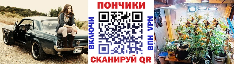 Купить  Шлиссельбург  Каннабис марихуана 